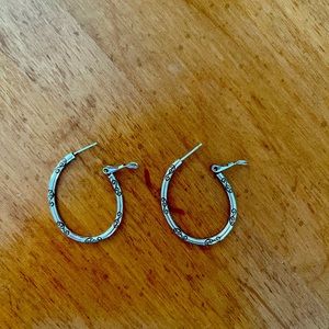 Oval Hoop Charm Earrings